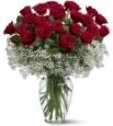 Striking red rose in vase