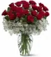 Striking red rose in vase