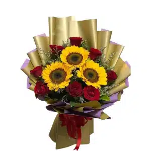 Sunshine in my love romance
