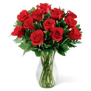 rose in vase