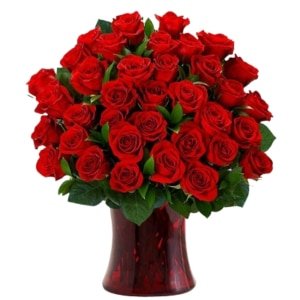 Red Roses Sweet Inspiration
