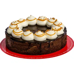 Turtle Pie 8"