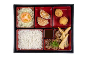 Beef Gyu Bento