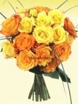 Orange and Yelllow rose