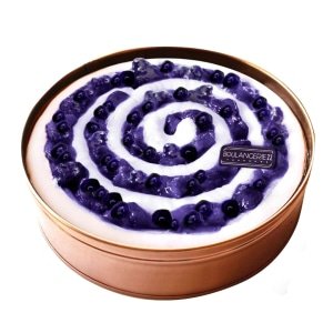 WTF Blueberry Overload