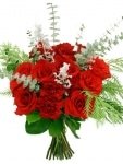 Velvety red roses