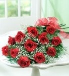 Gorgeous Rose