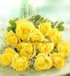 Yellow Rose