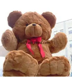 Huge Light Brown Bear