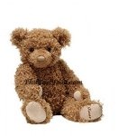 Brown Bear