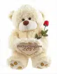 Teddy with Red Rose