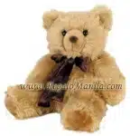 Honey Bear