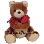 Softest Teddy Bear