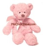 Washable Pink Bear