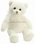 Happy Teddy Bear