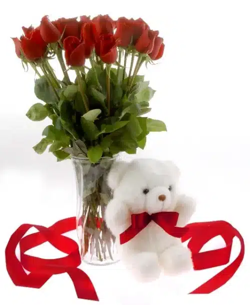 Rose with White Teddy bear