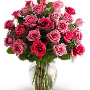 2 Dozen Long Stem Pink Rose