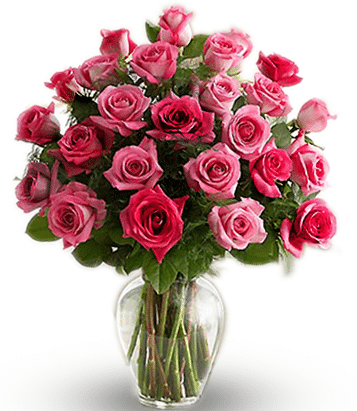 2 Dozen Long Stem Pink Rose