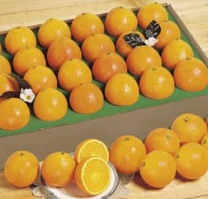 2 dozen of juicy oranges