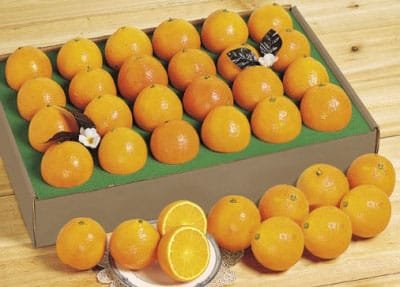 2 dozen of juicy oranges