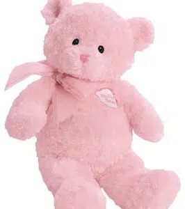 First Teddy Bear