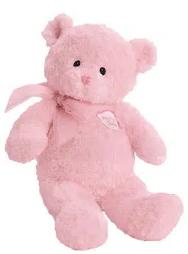 First Teddy Bear