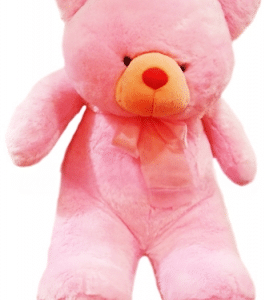 Giant Pink Teddy