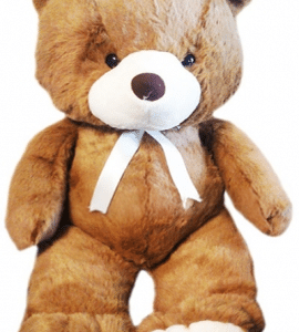 Giant Dark Brown Teddy