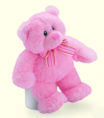 Small Pink Bear